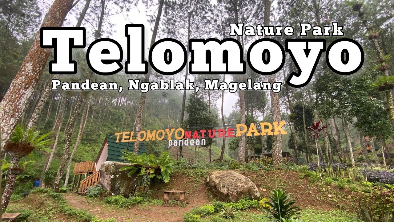 Telomoyo Nature Park: Menjelajahi Keindahan Alam di Lereng Gunung Telomoyo